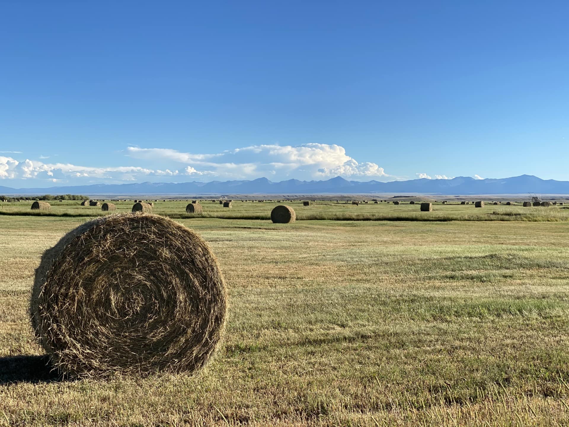 10,000 Hay Stack Ranch For Sale Montana Arrow Ranch