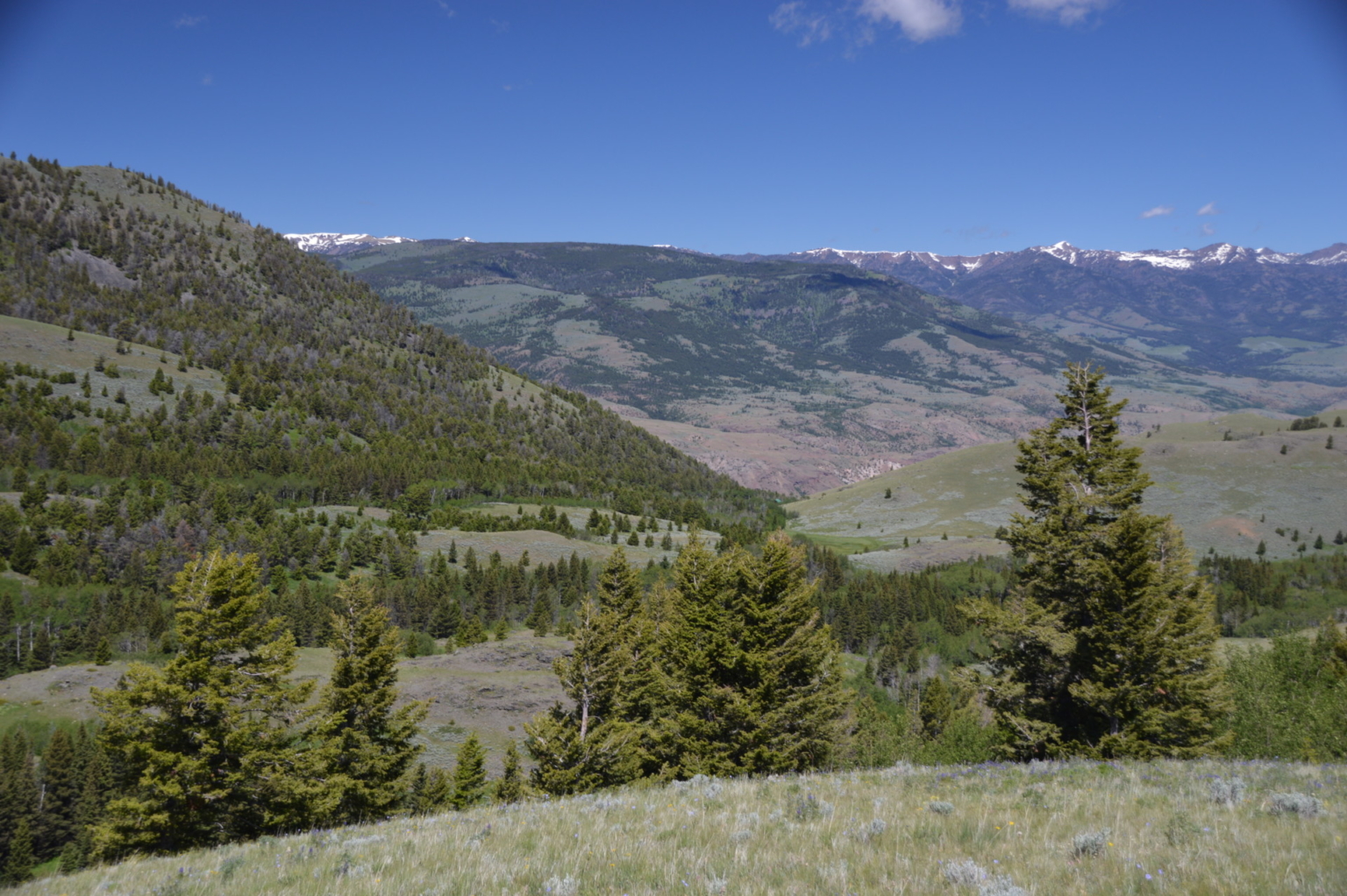 Dome Mountain Ranch Yellowstone Ranch Fay Ranches