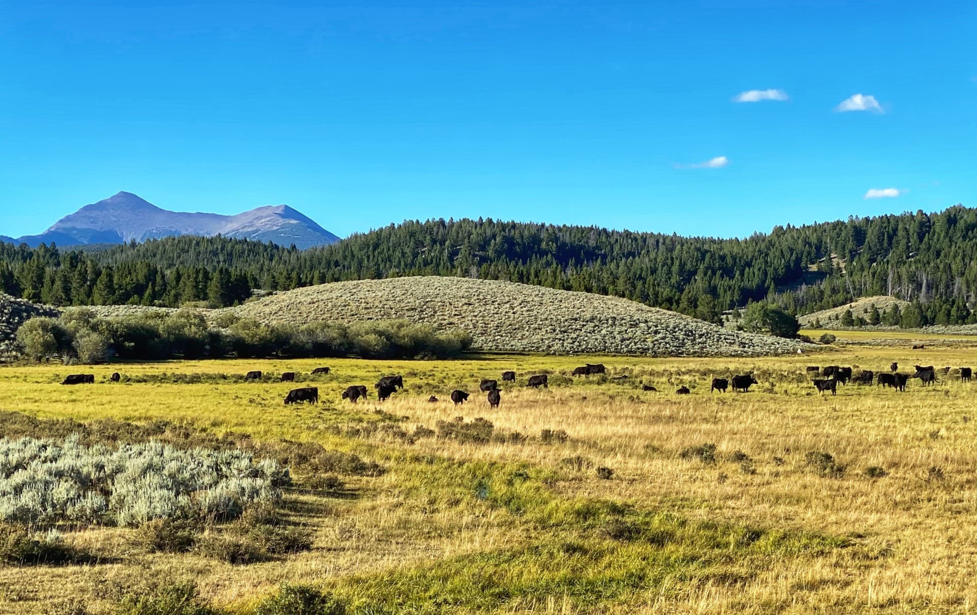 Cattle Ranch For Sale Montana Arrow Ranch