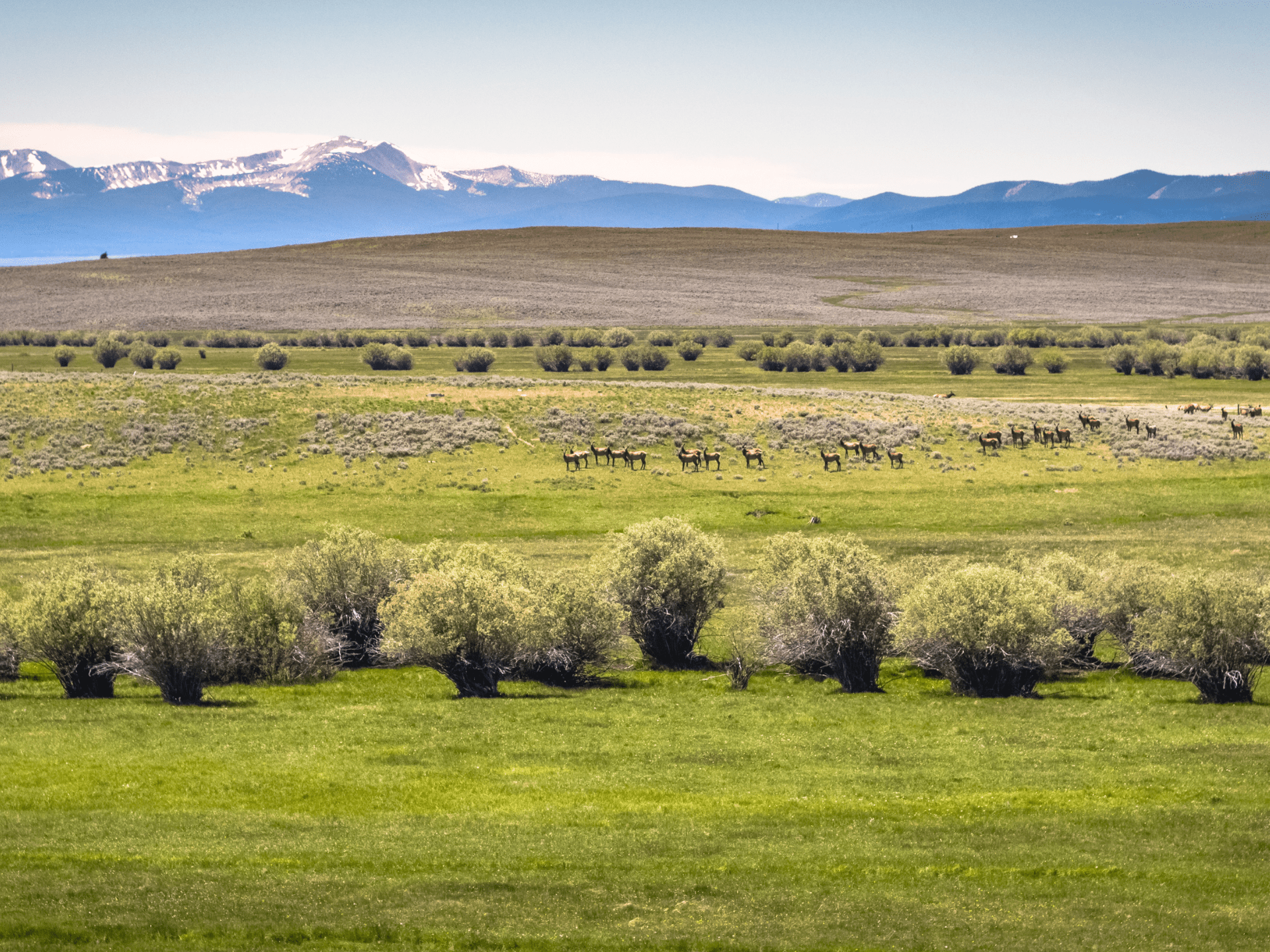 Elk Hunting Views Montana Arrow Ranch