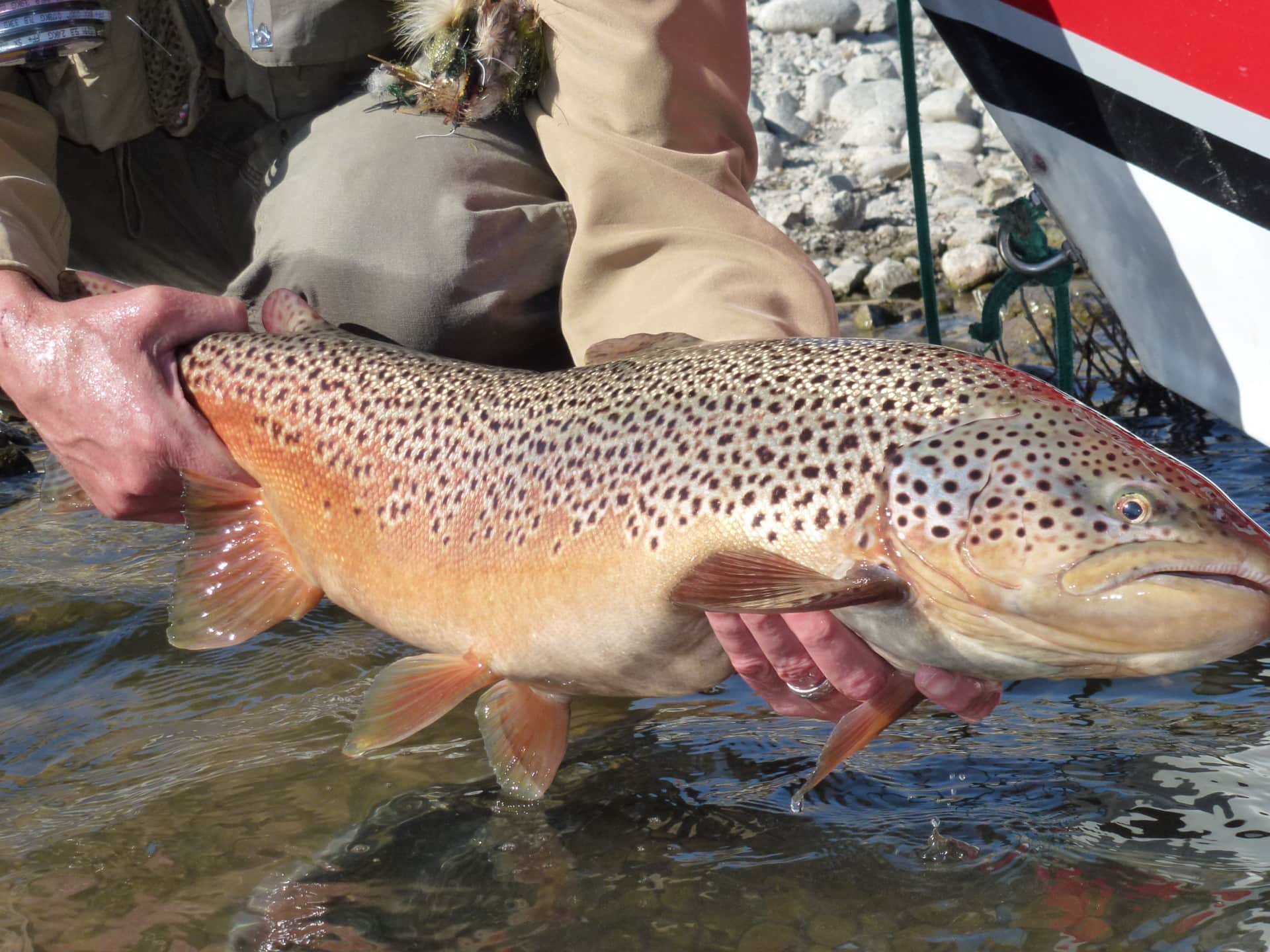 Fly Fishing Ranch For Sale Montana Dome Mountain Ranch
