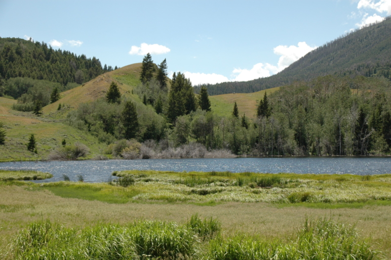 Dome Mountain Ranch | Yellowstone Ranch | Fay Ranches