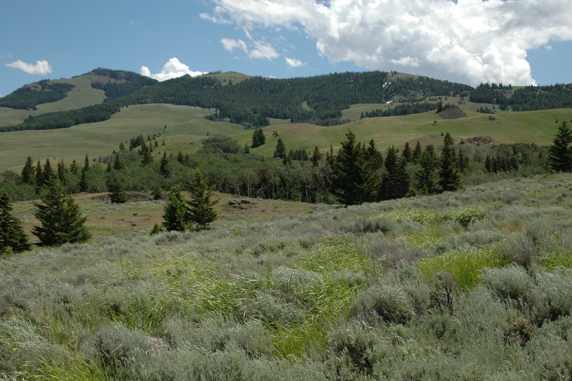 Incredible Views Montana Dome Mountain Ranch