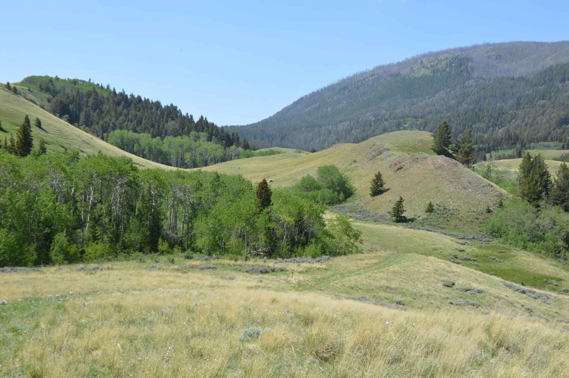 Large Montana Ranch For Sale Dome Mountain Ranch
