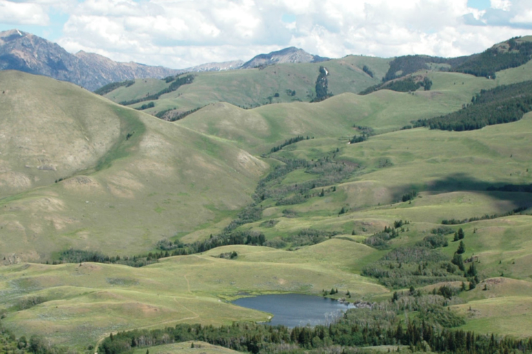 Farms For Sale Farming Operations Hay, Wheat, Barley Fay Ranches