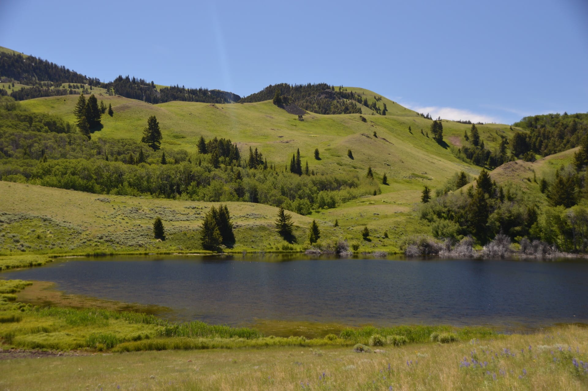 Multiple Water Resources For Sale Montana Dome Mountain Ranch