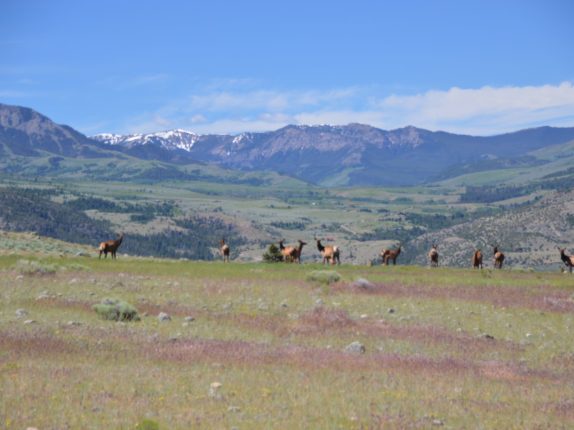Tremendous Elk Hunting Ranch For Sale Montana Dome Mountain Ranch