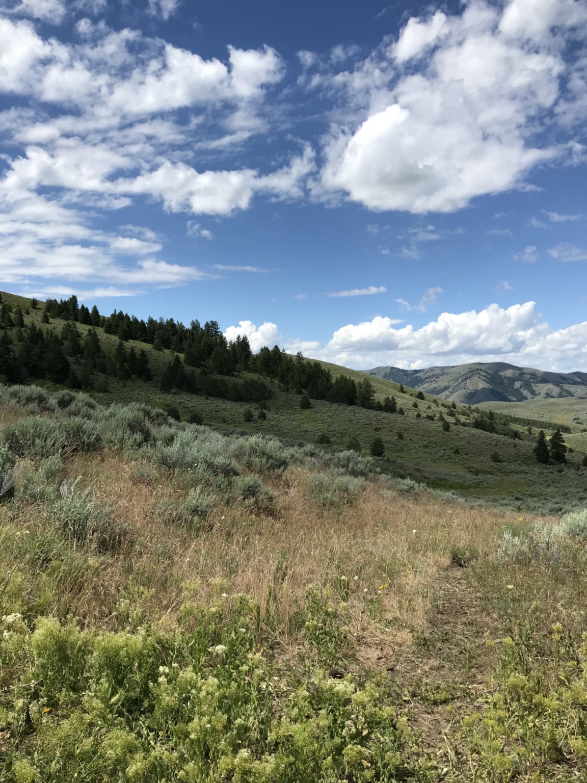 Lost Basin Ranch Durkee Oregon Ranch Property Fay Ranches
