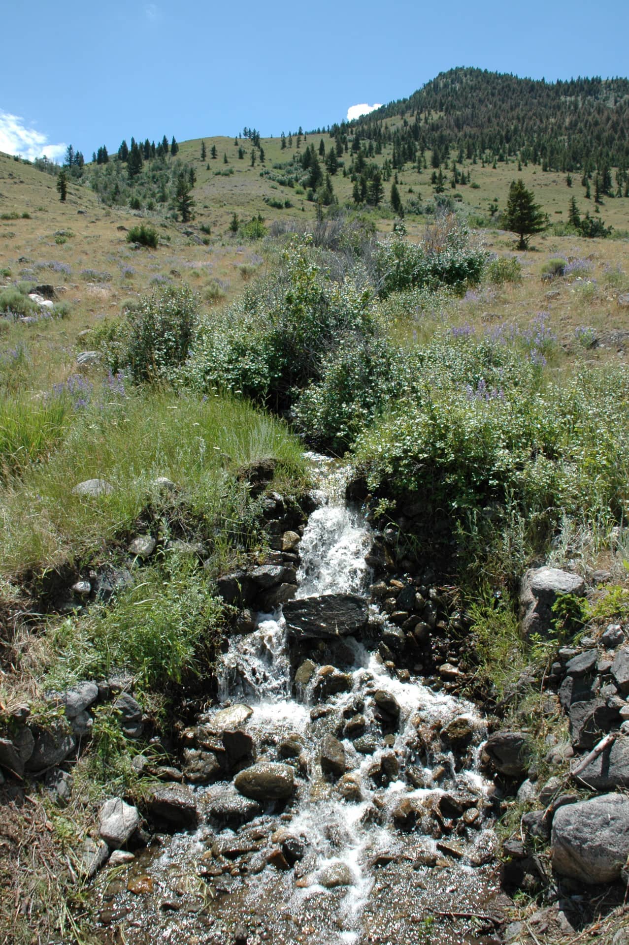 Water Resources For Sale Montana Dome Mountain Ranch