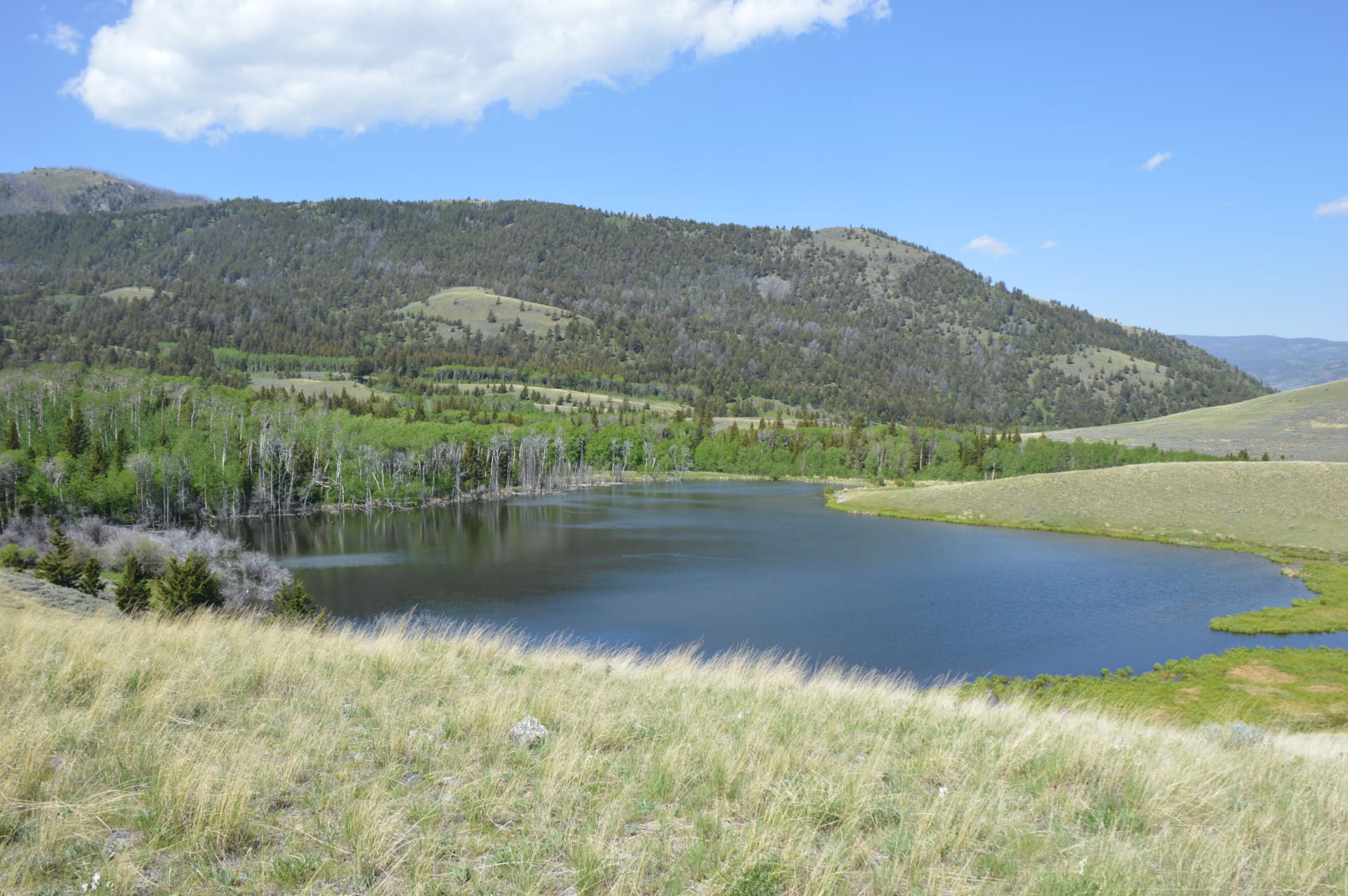 Yellowstone Ranch For Sale Montana Dome Mountain Ranch