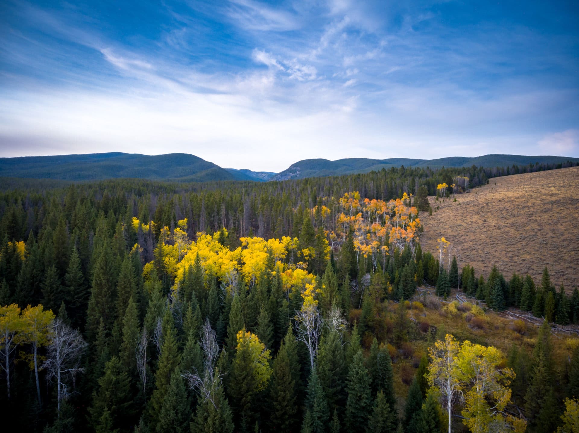 aspen autumn montana arrow ranch