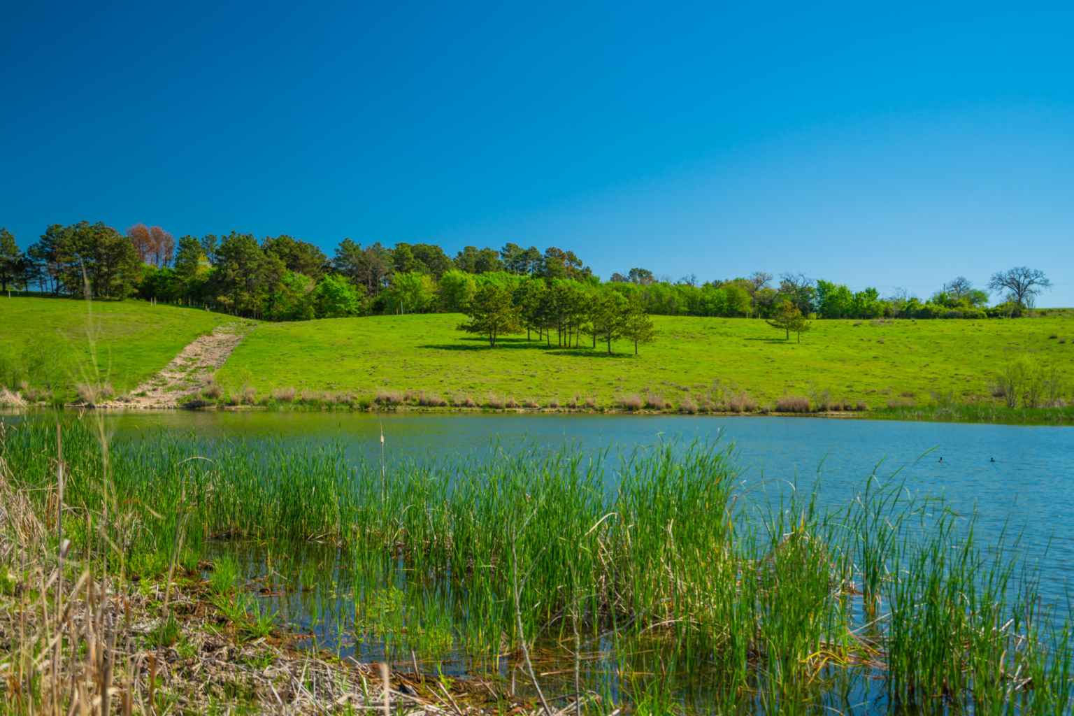 Lakes of Gibbons Creek Republic Ranches Texas Property