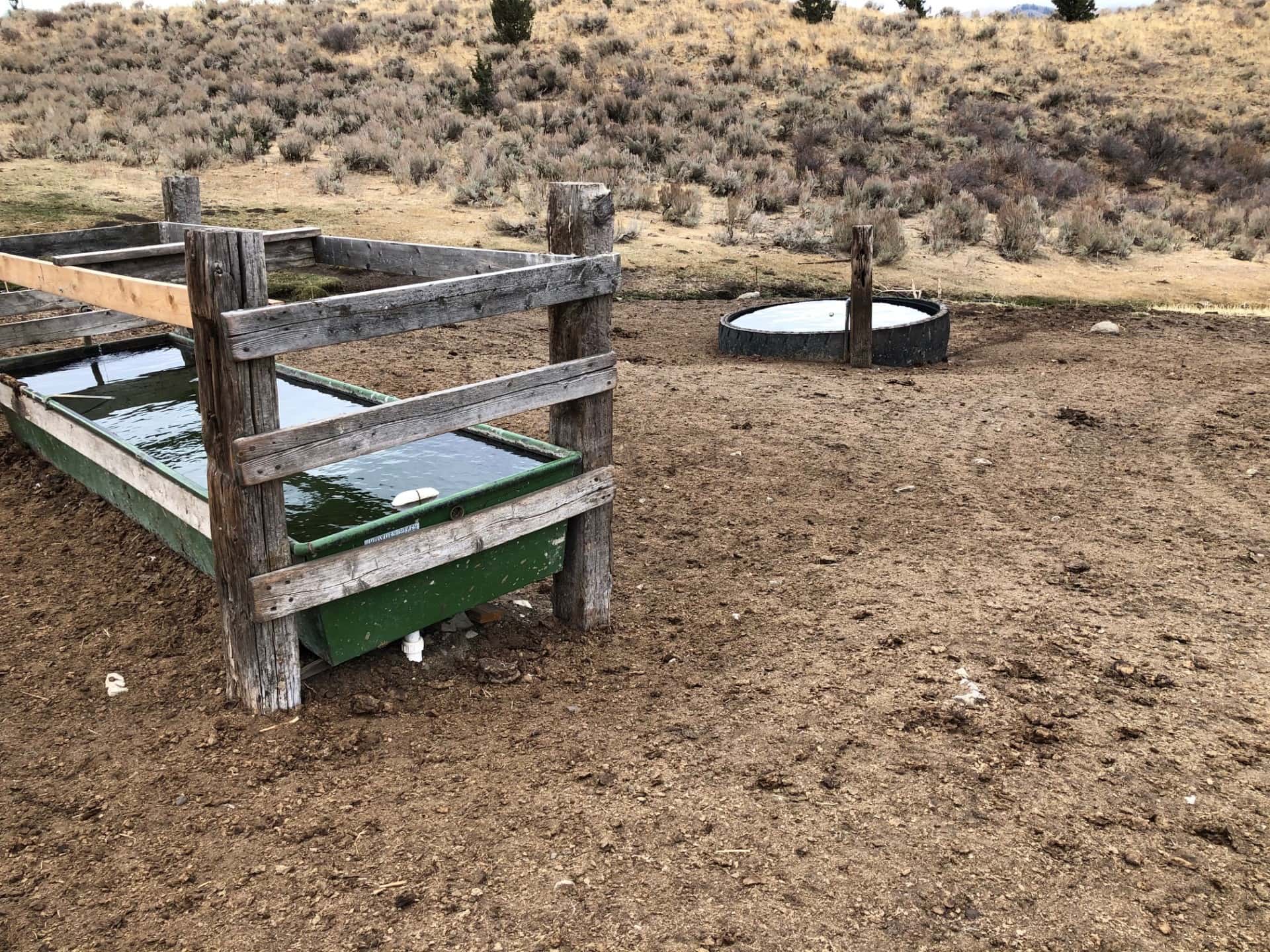 cattle property for sale Oregon Lost Basin Ranch