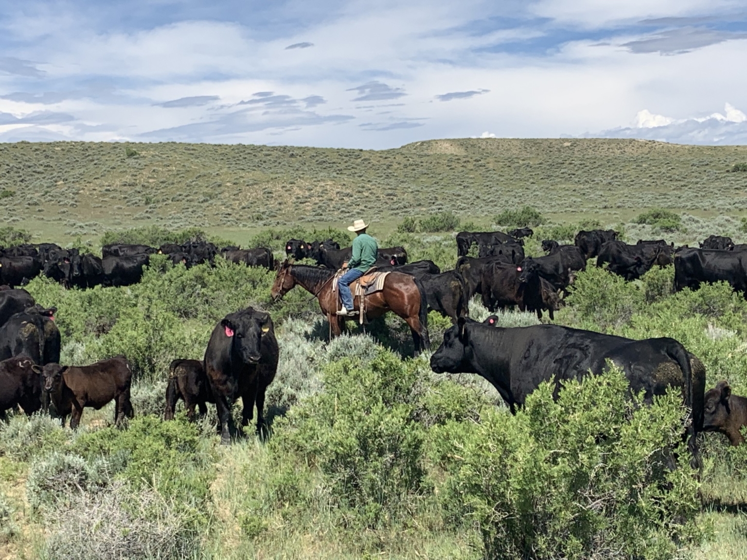 Hidden Springs Ranch | Riverton Wyoming | Fay Ranches