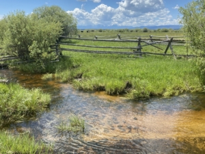 creek montana arrow ranch