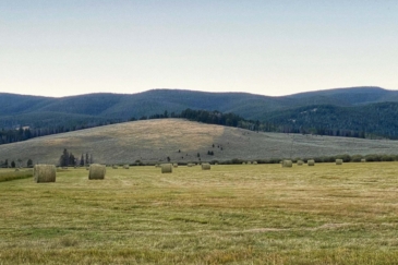 farms for sale montana arrow ranch