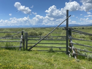gate montana arrow ranch