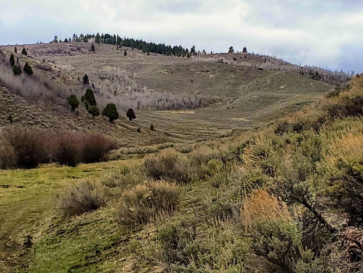 green hillside and valley idaho crow creek camp ranch