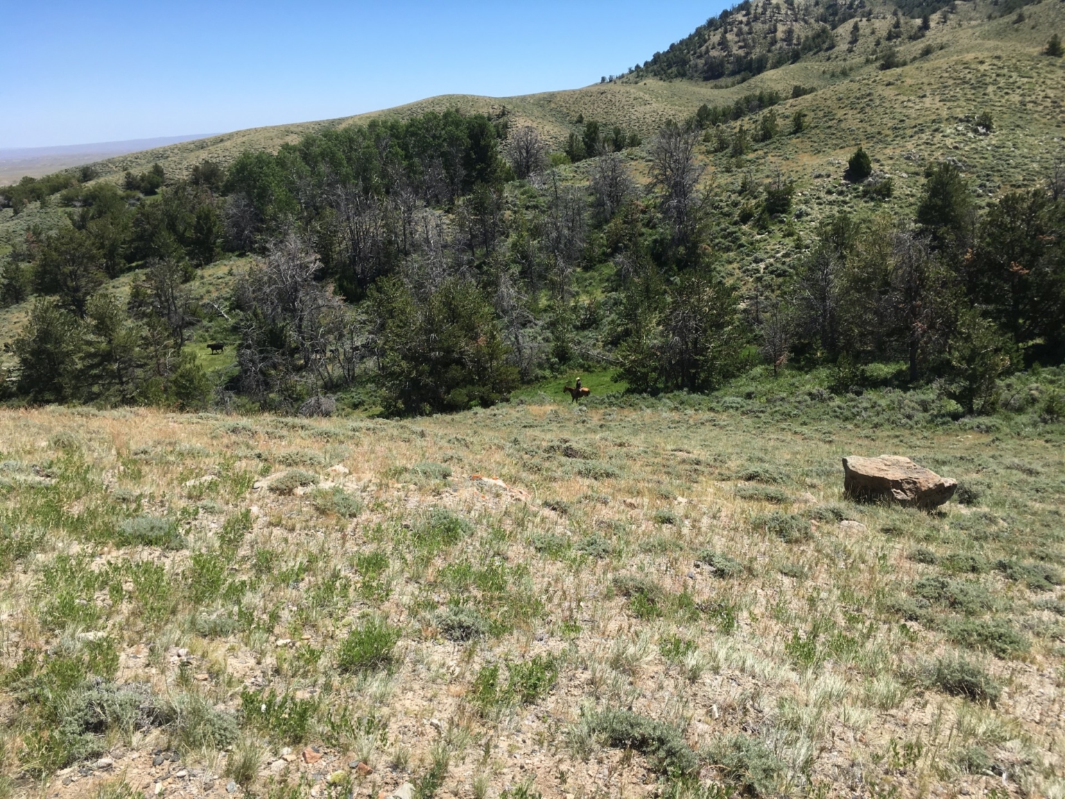 Hidden Springs Ranch Riverton Wyoming Fay Ranches