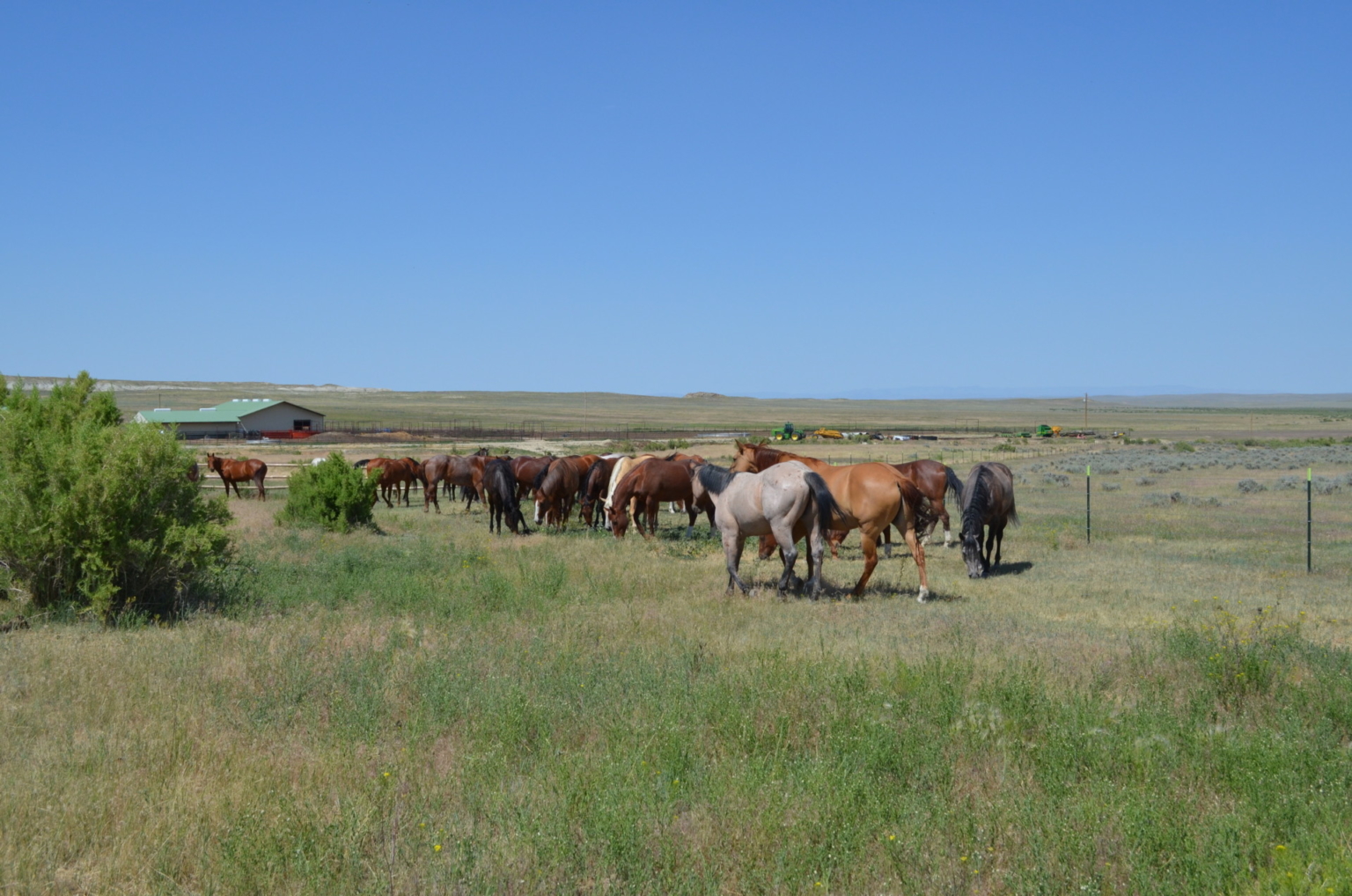 Hidden Springs Ranch Riverton Wyoming Fay Ranches