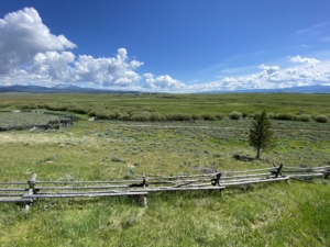 jack fence view montana arrow ranch