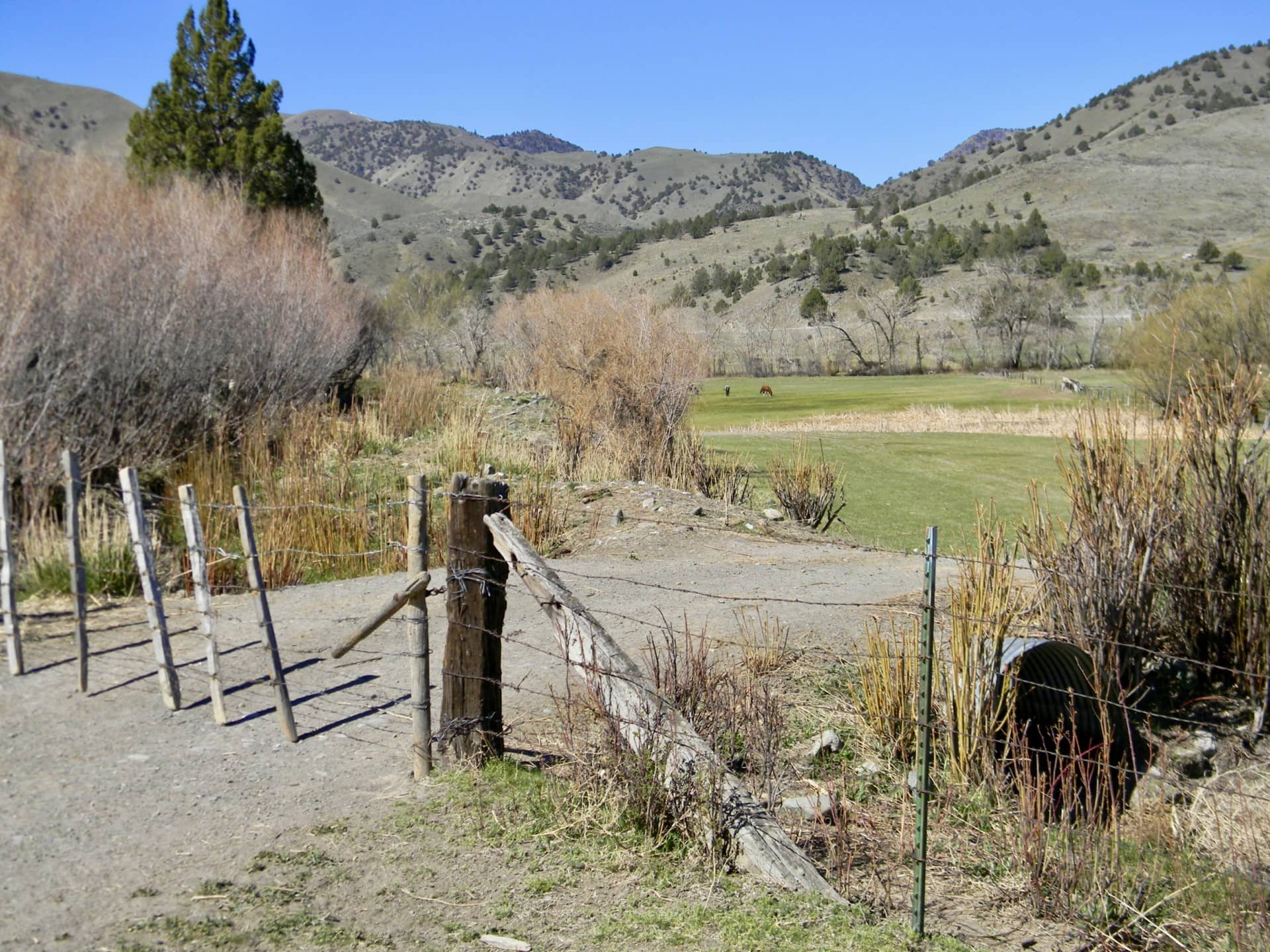 Lower Meadows fencing oregon Lost Basin Ranch