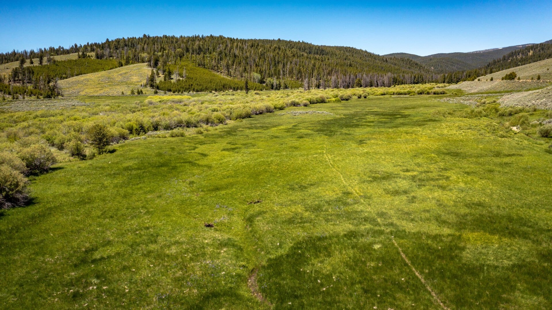 meadow montana arrow ranch