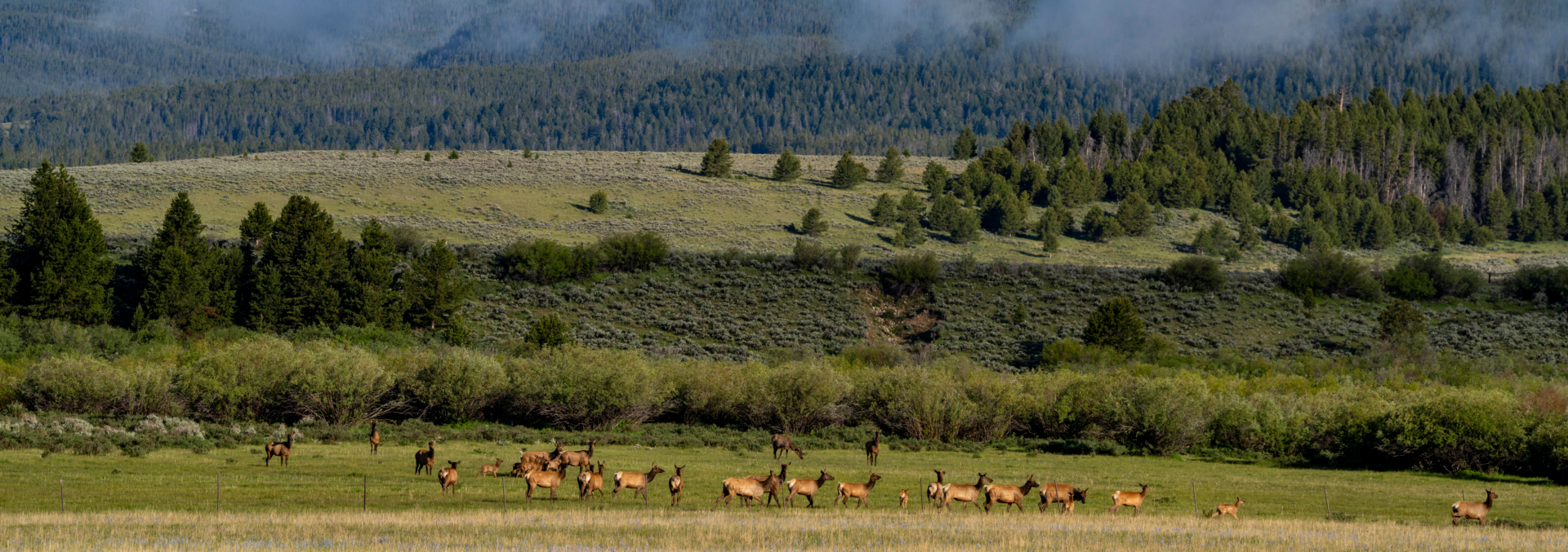 montana ranch property for sale arrow ranch