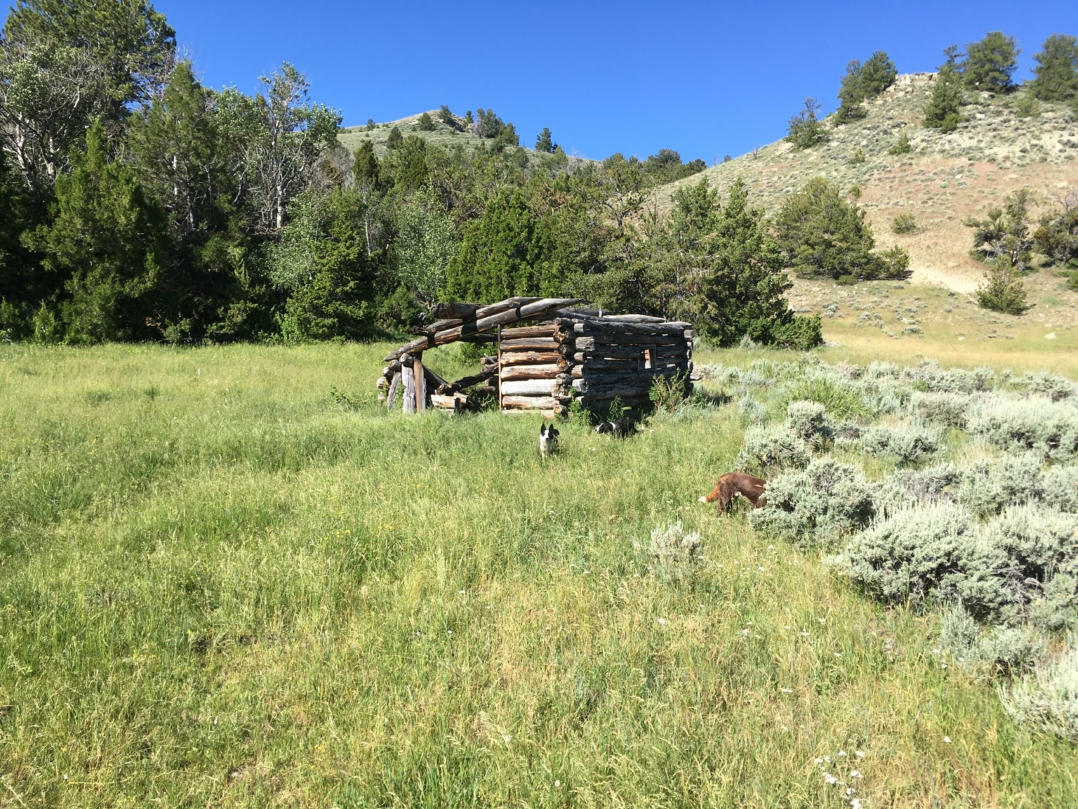 Hidden Springs Ranch Riverton Wyoming Fay Ranches