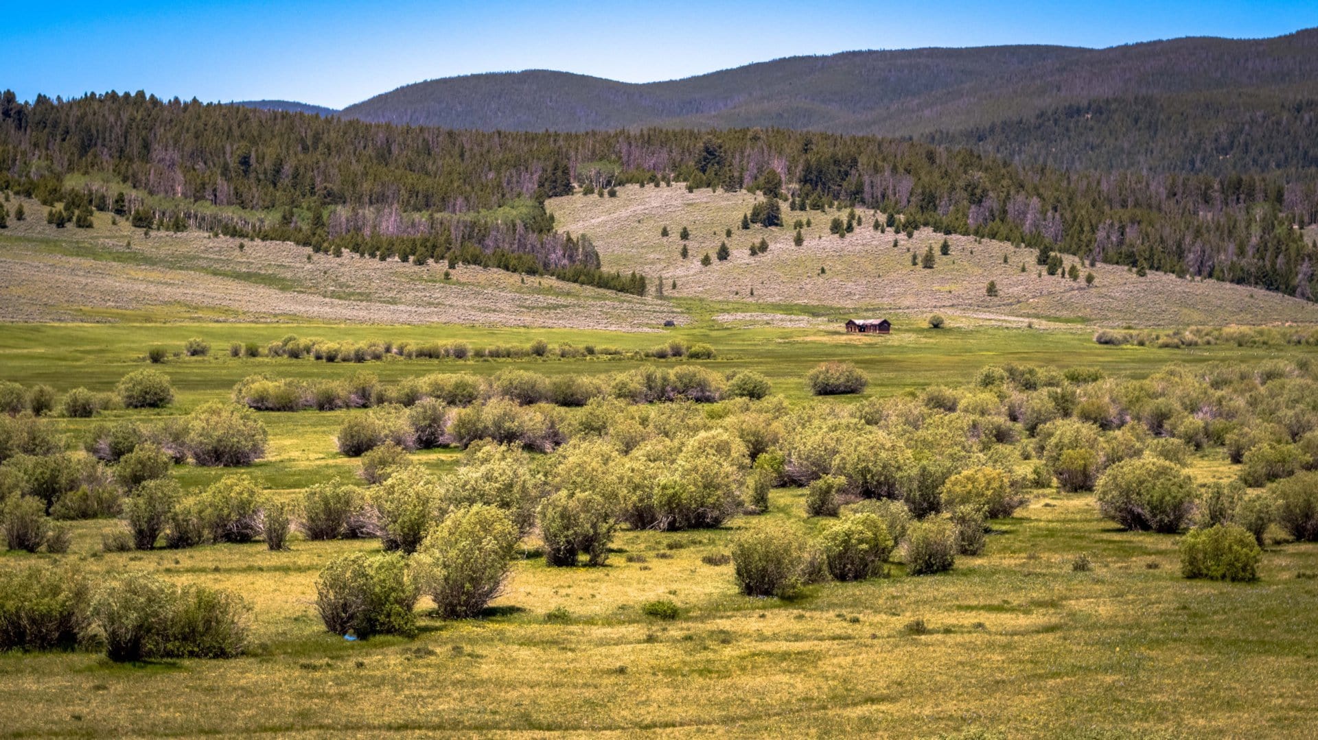 recreation montana arrow ranch
