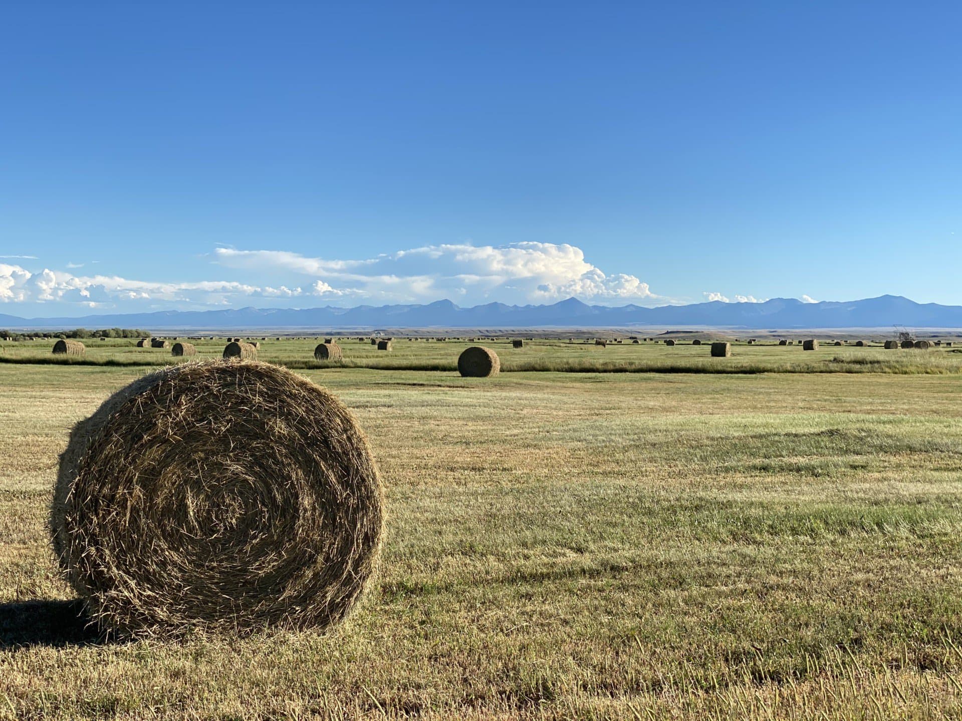 round hay bale ranch for sale montana arrow ranch