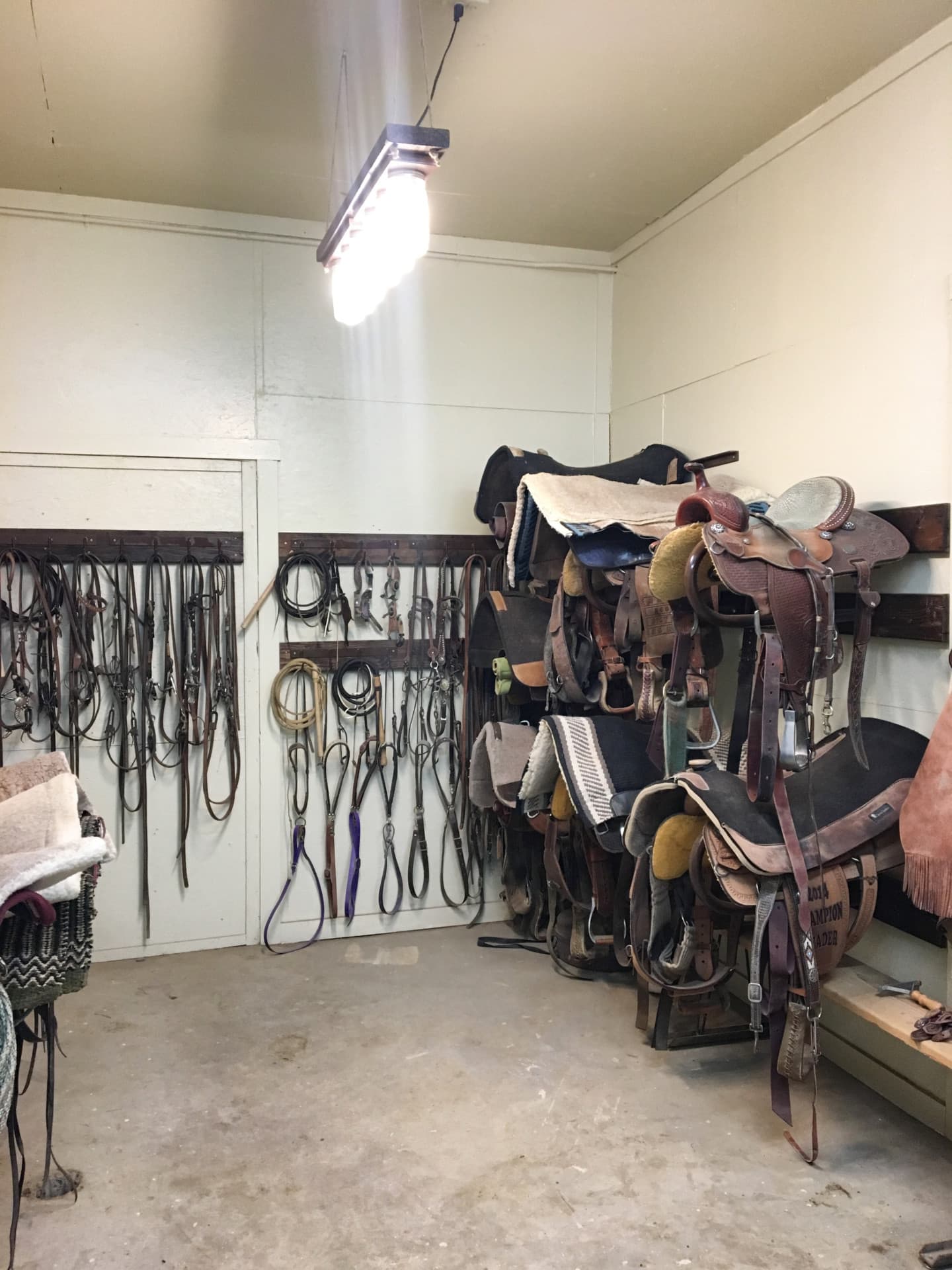 tack room with storage wyoming hidden springs ranch