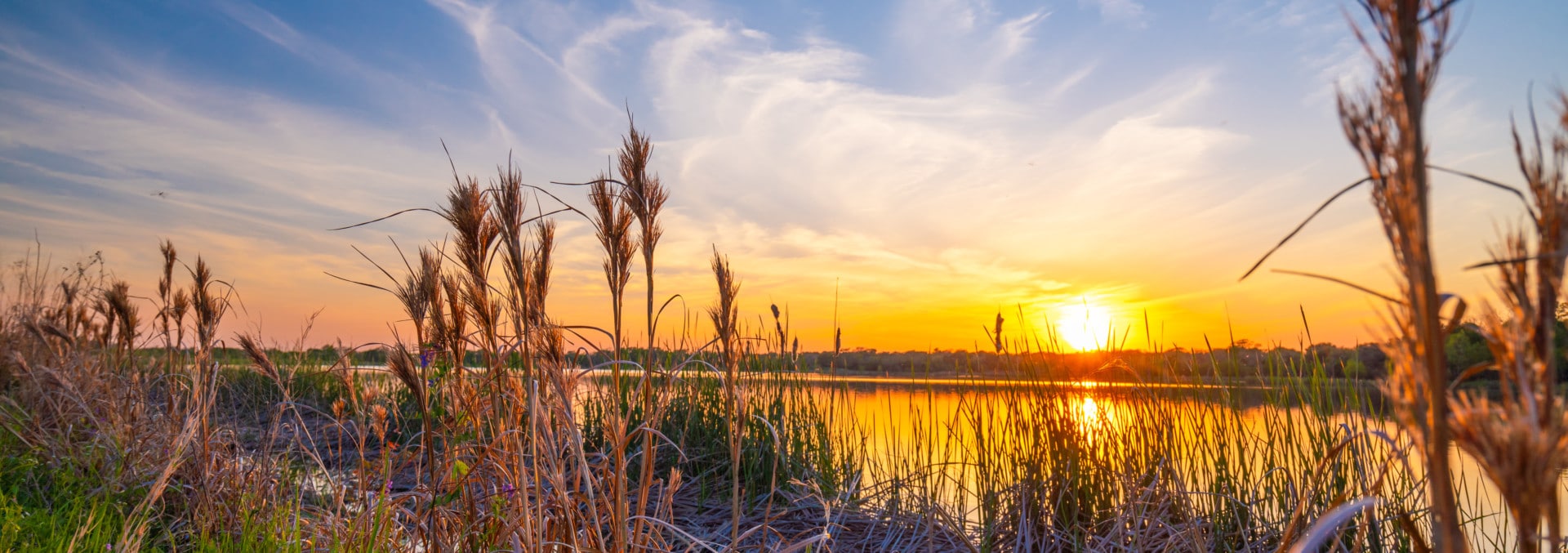 texas property for sale lakes of gibbons creek