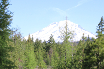 washington land for sale trout lake washington mu-1