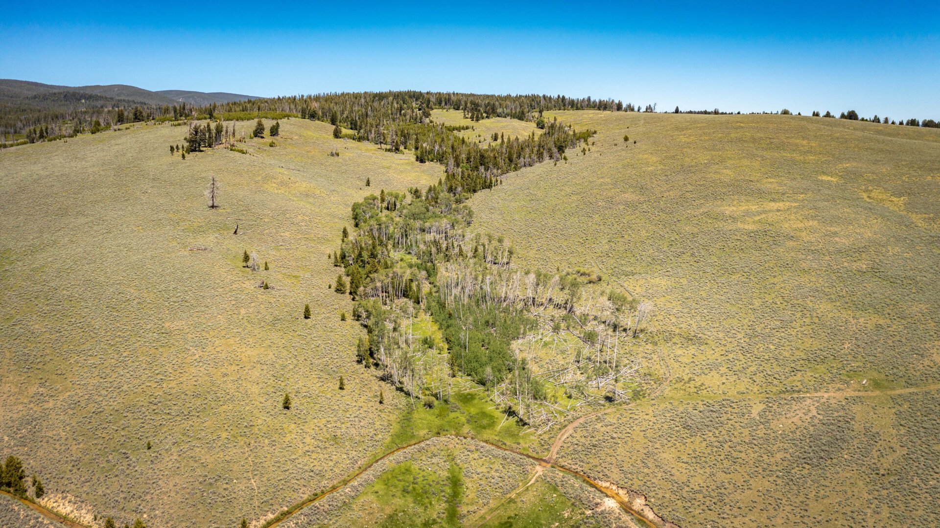wildlife habitat montana arrow ranch