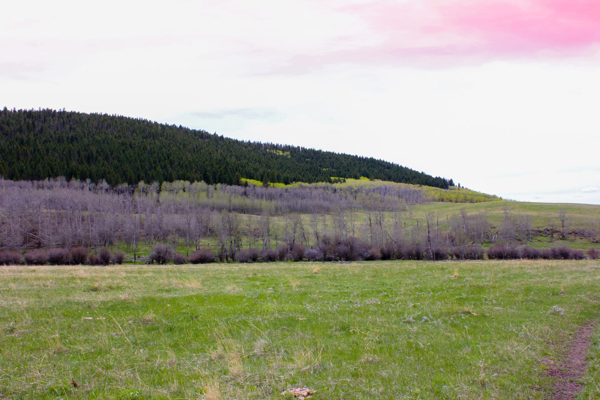 Aspen Grove Benches Montana Little Belt Elk Ranch Fay Ranches