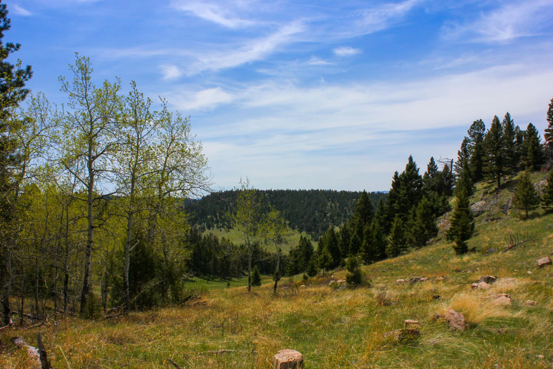 Aspen Grove Montana Little Belt Elk Ranch Fay Ranches