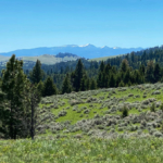 Big Game hunting montana Bull Mountain Elk Camp