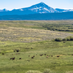Big Hole Valley Montana Recreational Ranch For Sale Moose Creek Ranch