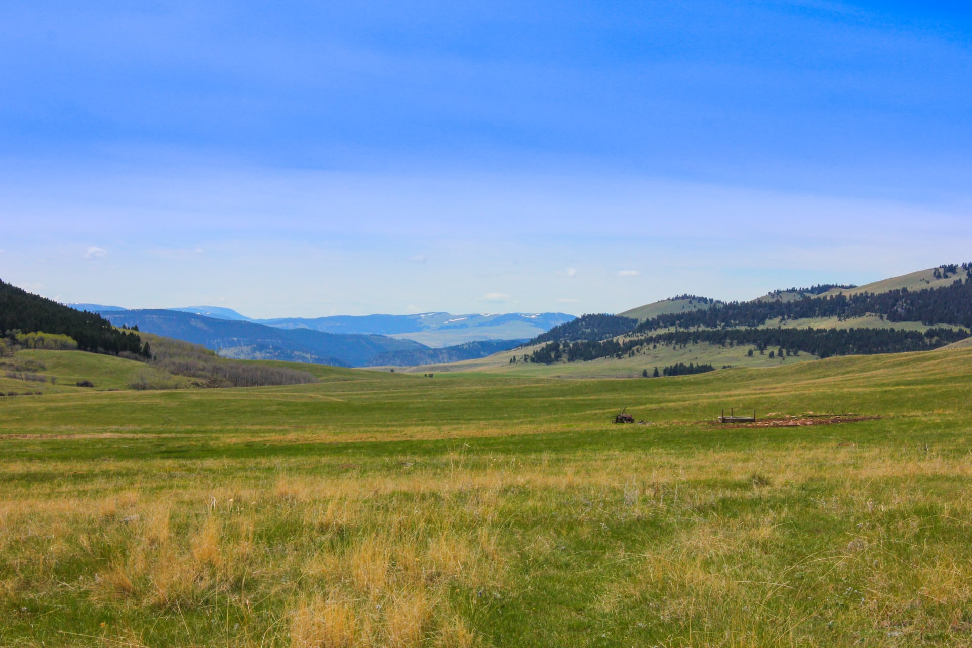 Cattle Water Hole Montana Little Belt Elk Ranch | Fay Ranches