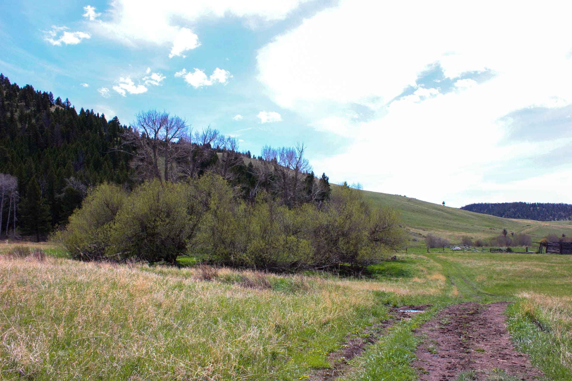 Eagle Creek Basin Montana Little Belt Elk Ranch Fay Ranches