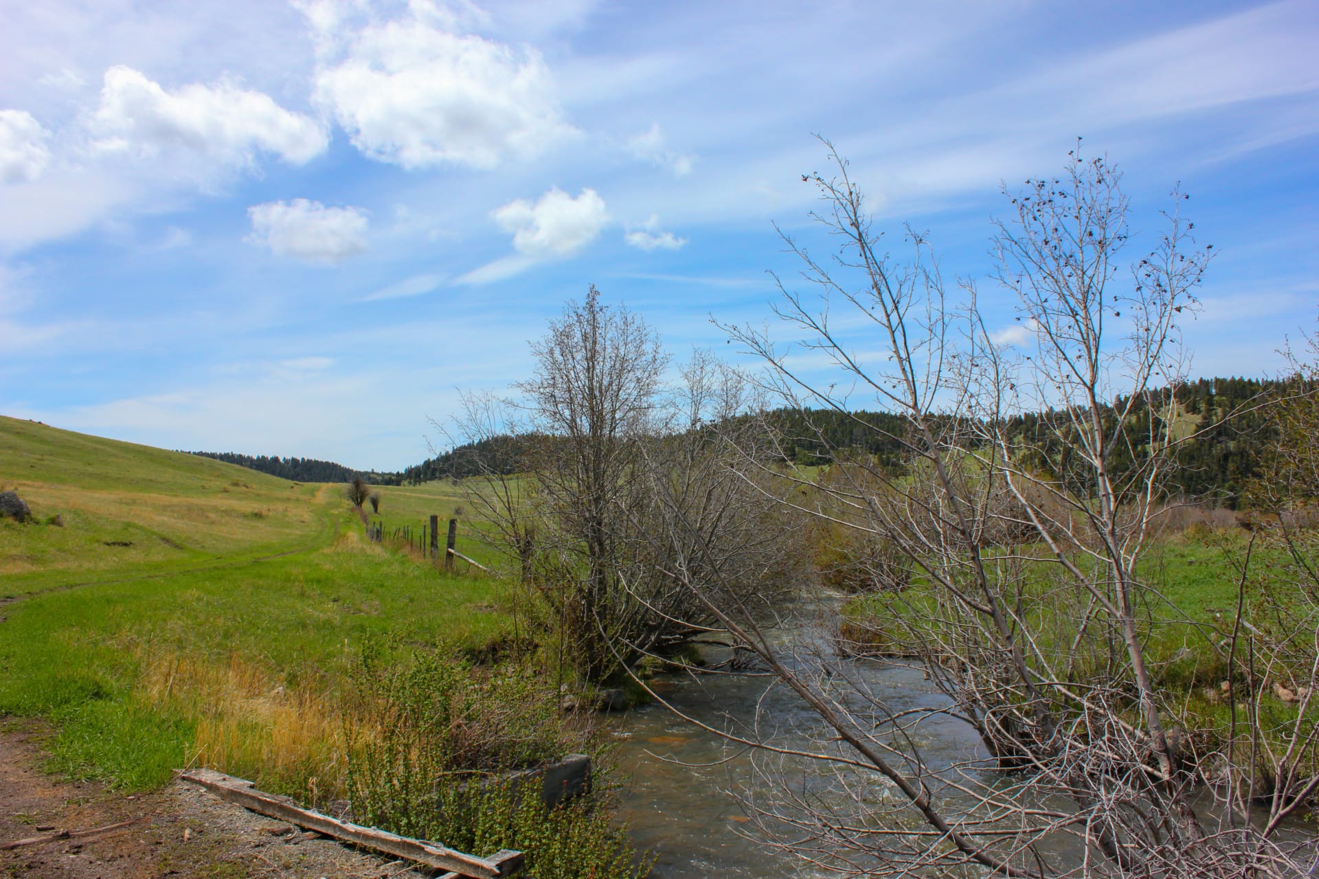Eagle Creek Southwest Montana Little Belt Elk Ranch Fay Ranches