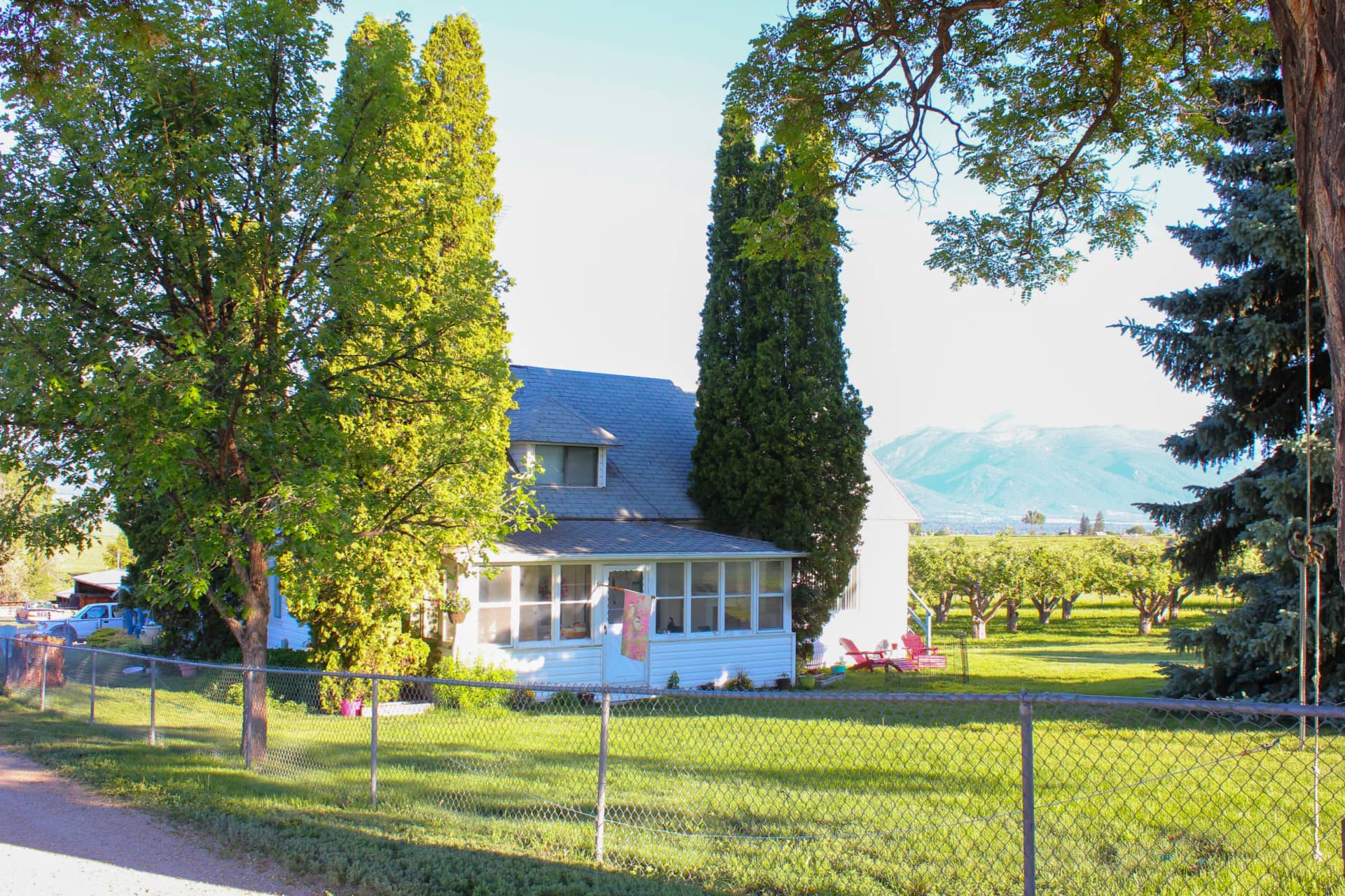 Home 3 Montana Swanson's Apple Orchard