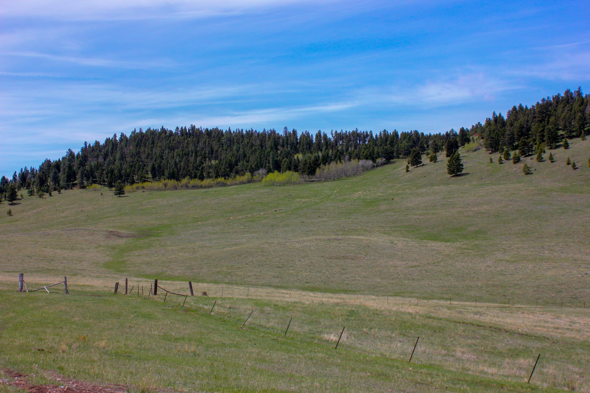 Homestead Basin 3 Montana Little Belt Elk Ranch Fay Ranches