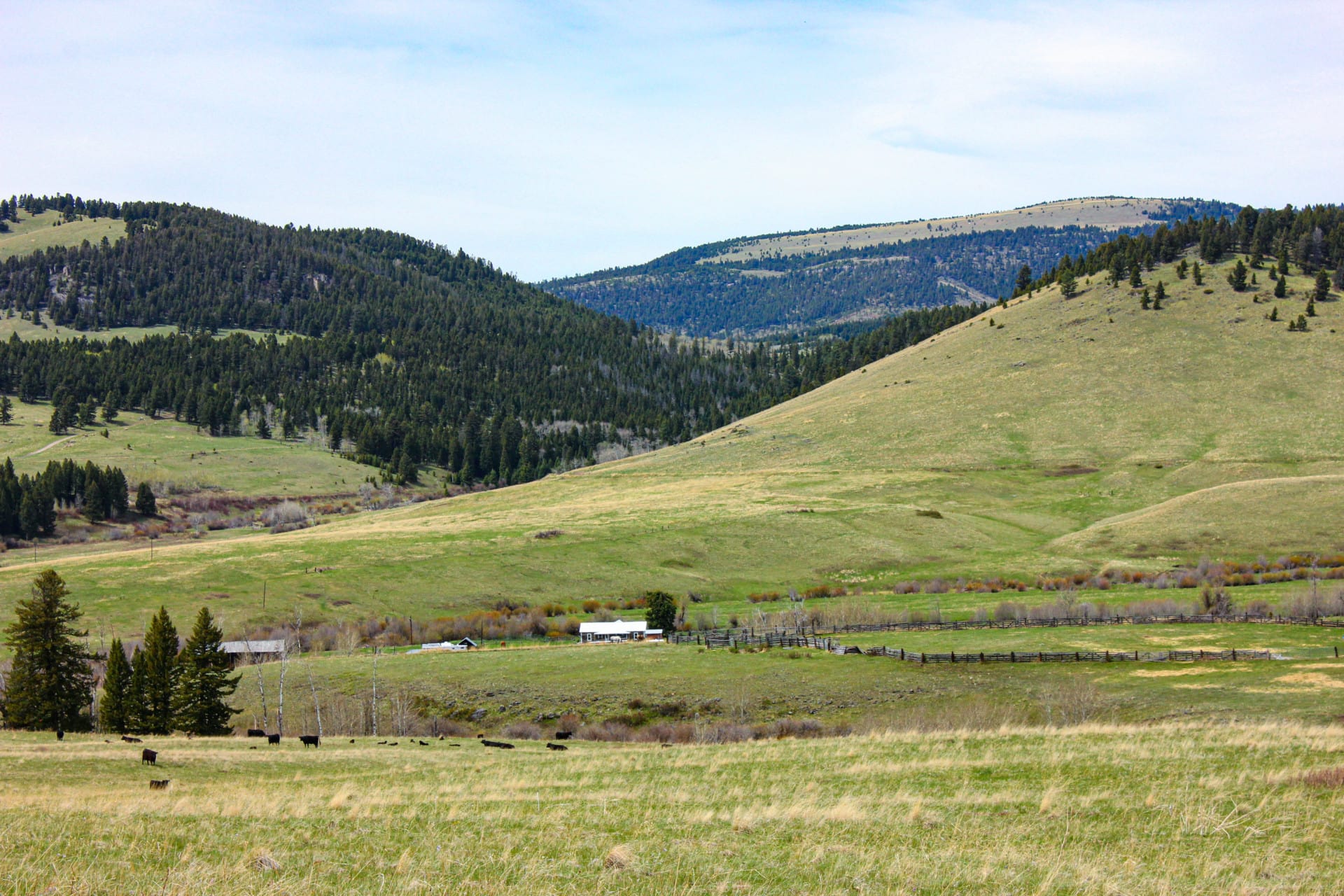 Homestead Montana Little Belt Elk Ranch | Fay Ranches