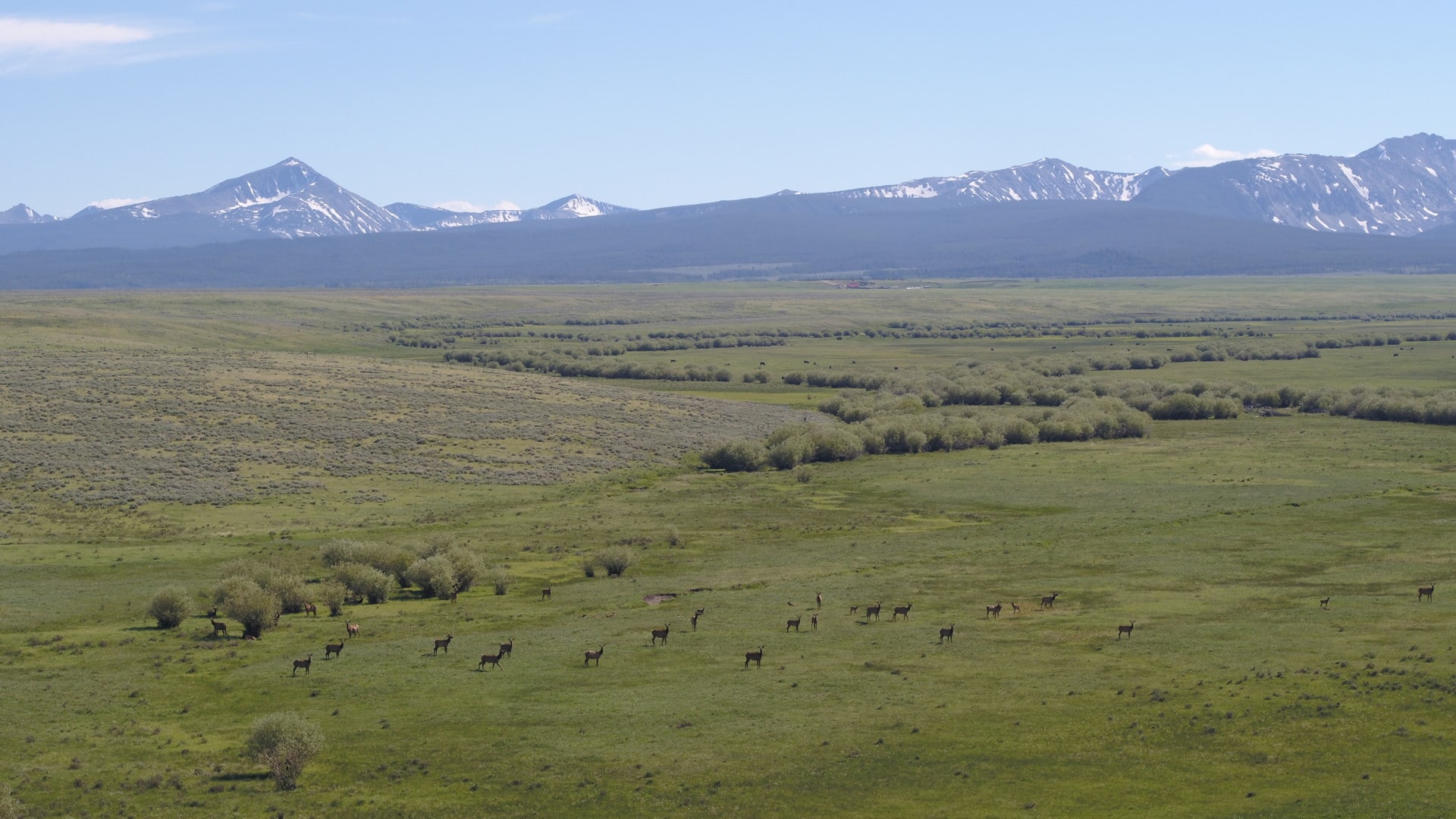 Hunting Property for Sale Montana Moose Creek Ranch