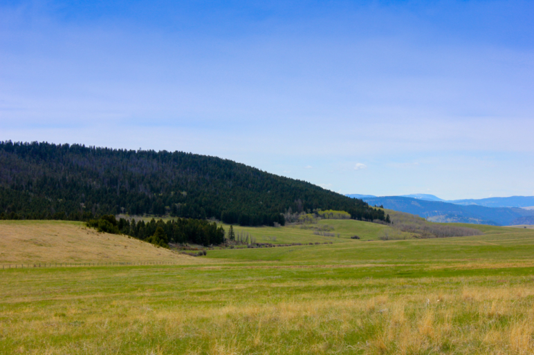 Lead Basin Photo Montana Little Belt Elk Ranch Fay Ranches