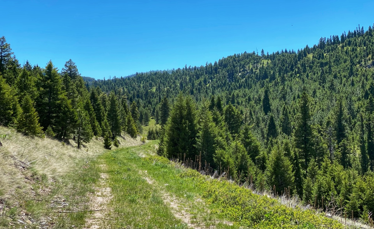 Bull Mountain Elk Camp Fay Ranches