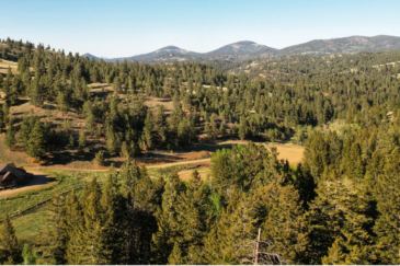 Montana Ranch for Sale Hidden Horse Ranch