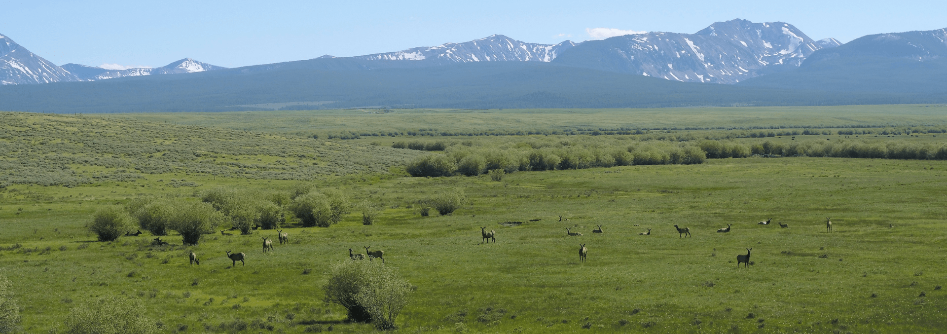 Southwest Montana Recreational Ranch For Sale Moose Creek Ranch